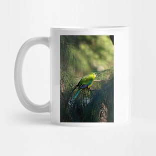 Orange Bellied Parrot Mug